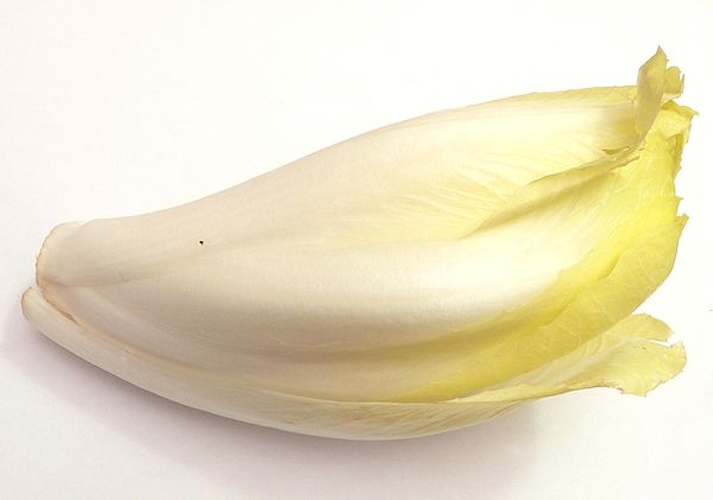 Cichorium endivia © <a href="//commons.wikimedia.org/wiki/User:David.Monniaux" title="User:David.Monniaux">David Monniaux</a>