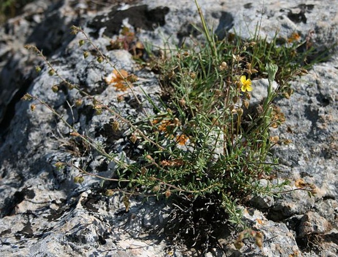  &copy; <a href="//commons.wikimedia.org/wiki/User:Franz_Xaver" title="User:Franz Xaver">Franz Xaver</a>