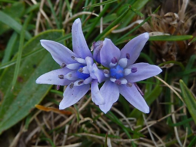  &copy; <a rel="nofollow" class="external text" href="https://www.flickr.com/people/93416311@N00">Tim Green</a>