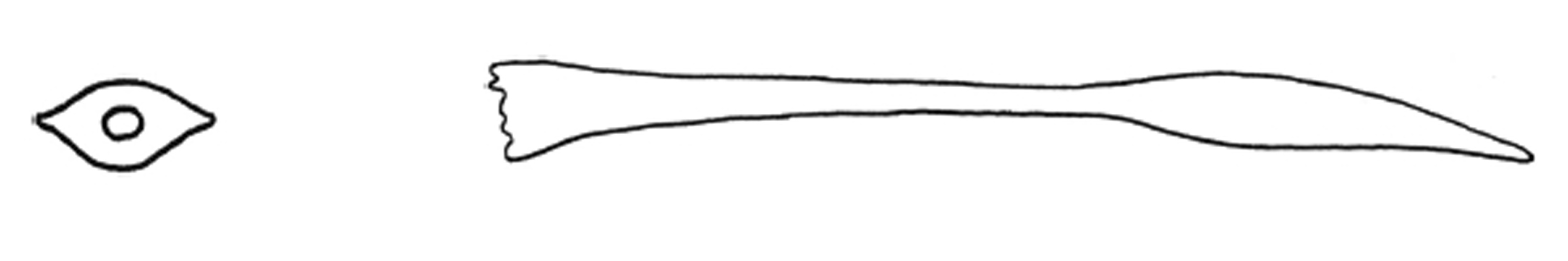 Chilostoma glaciale &copy; Joris M. Koene and Hinrich Schulenburg