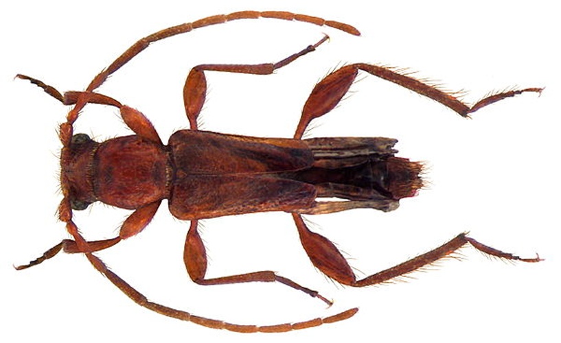  &copy; <a rel="nofollow" class="external text" href="https://www.flickr.com/people/30703260@N08">Udo Schmidt</a> from Deutschland