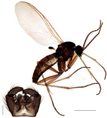  &copy; <a href="//commons.wikimedia.org/w/index.php?title=User:Kheller&amp;action=edit&amp;redlink=1" class="new" title="User:Kheller (page does not exist)">Kai Heller</a>