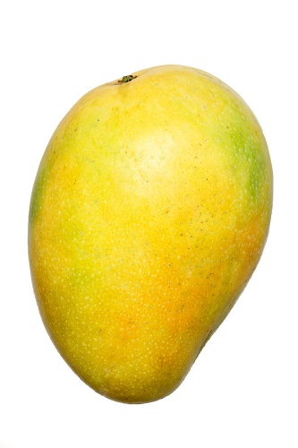 Mangifera indica © <b><a href="https://en.wikipedia.org/wiki/User:Blacknclick" class="extiw" title="w:User:Blacknclick">Prathyush Thomas</a></b>