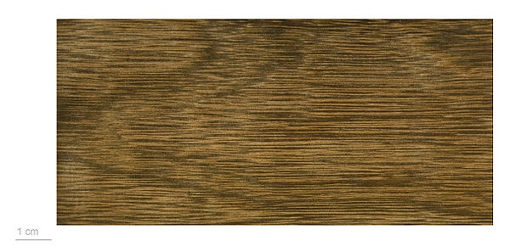 Vouacapoua americana &copy; <div class="fn value">
<a href="//commons.wikimedia.org/wiki/User:Erc%C3%A9" title="User:Ercé">Jean-Pierre Chéreau &amp; Roger Culos</a>
</div>